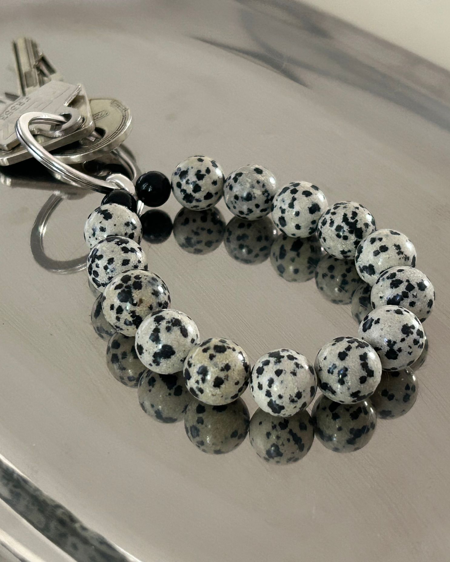 DALMATIAN DELIGHT