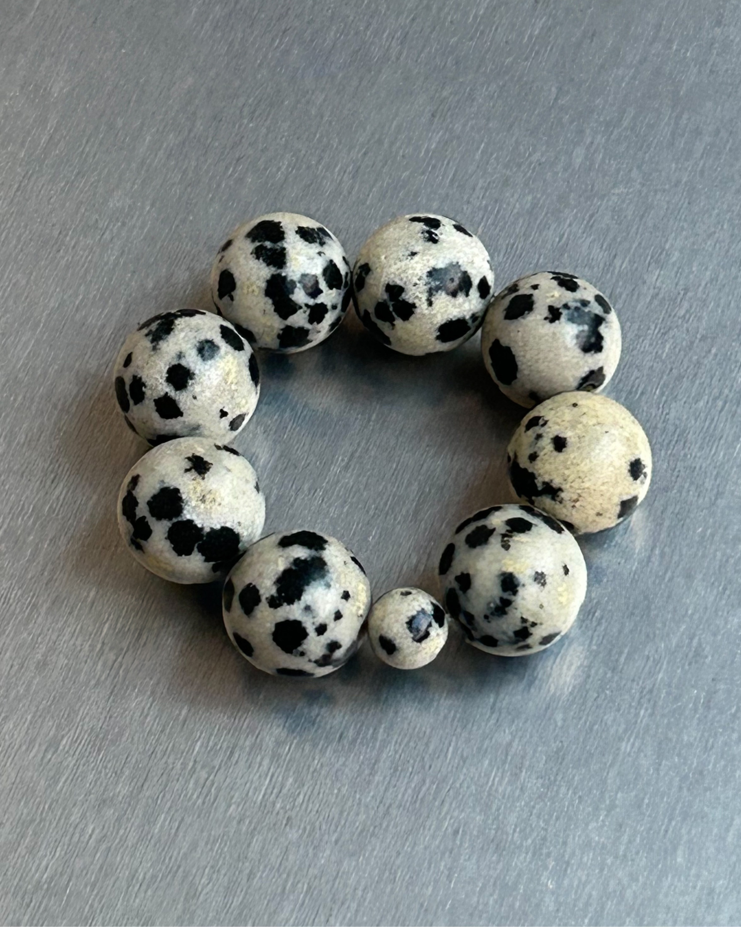 DALMATIAN DELIGHT