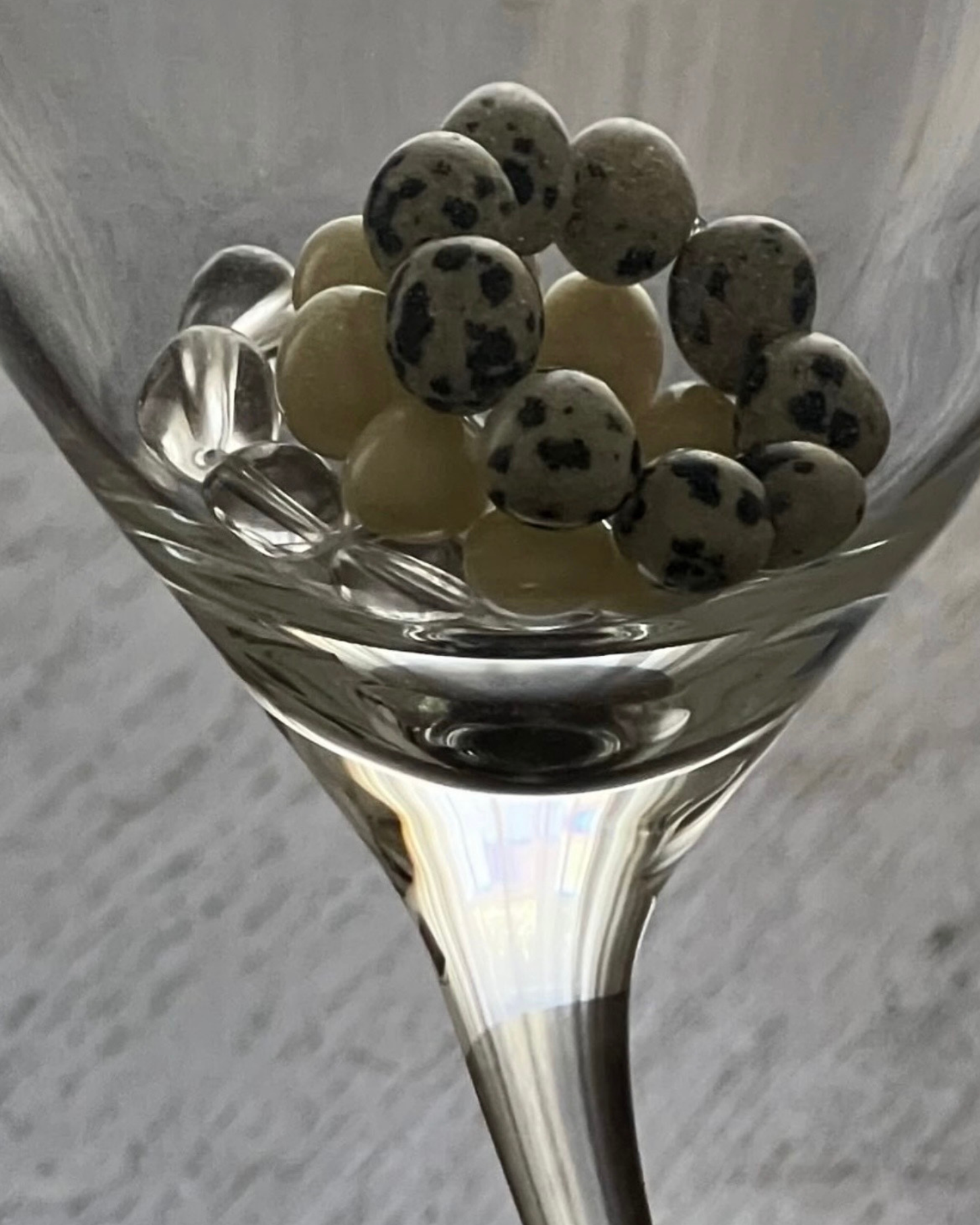 DALMATIAN DELIGHT