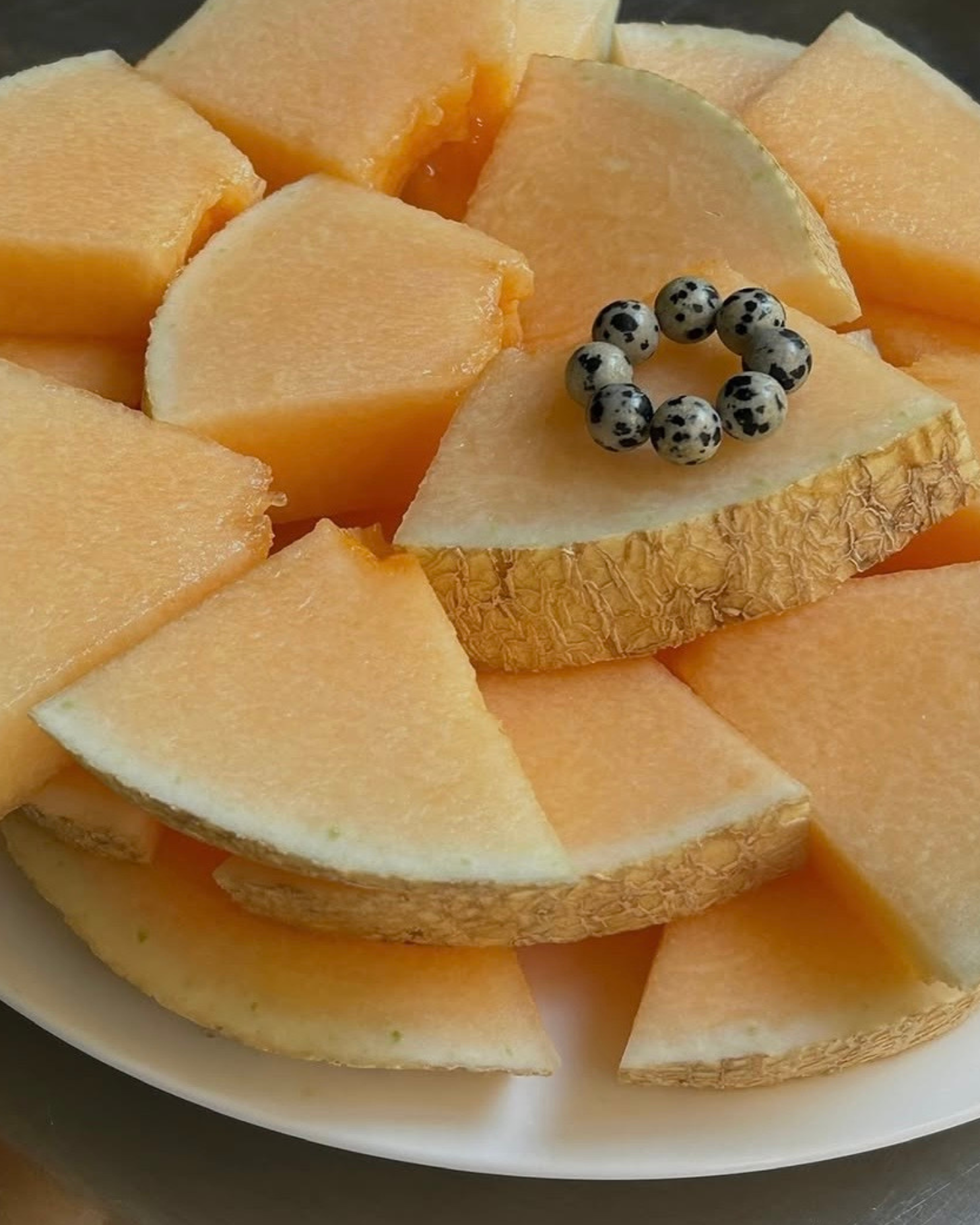 DALMATIAN DELIGHT