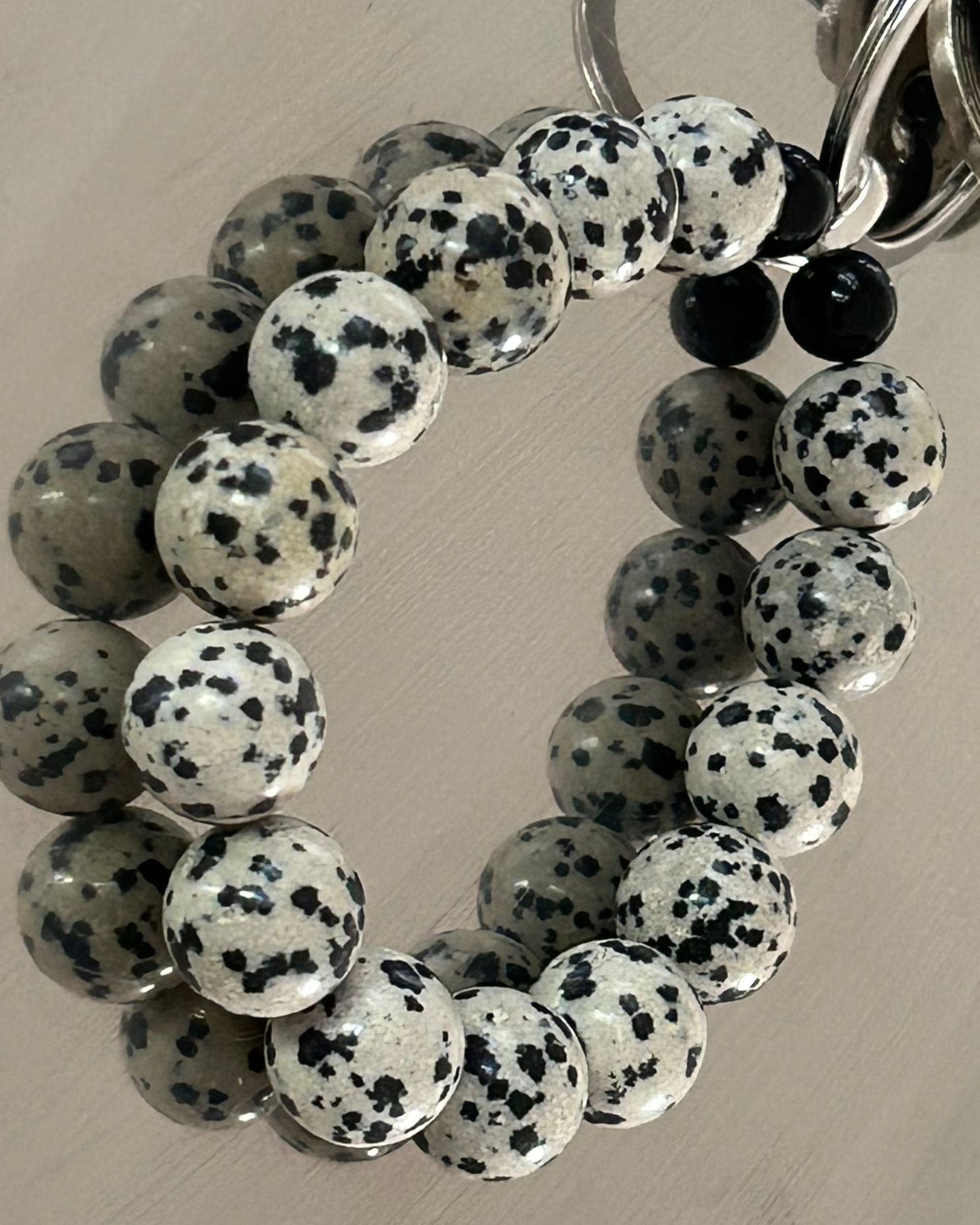 DALMATIAN DELIGHT